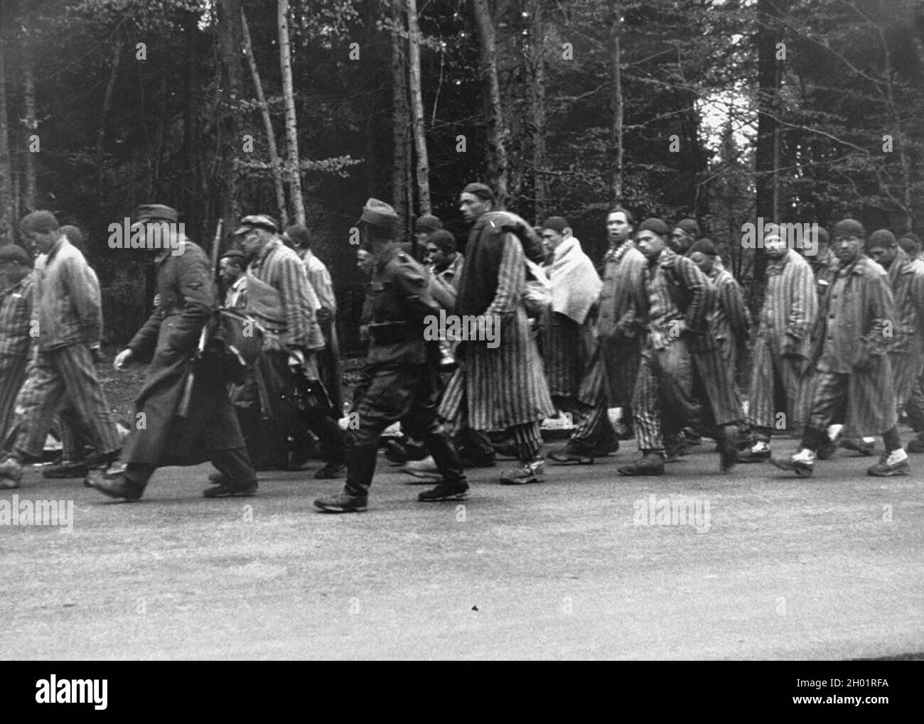 I prigionieri in una marcia di morte da Dachau si spostano verso sud lungo Noerdliche Muenchner Street a Gruenwald, Germania, il 29 aprile 1945. Foto Stock