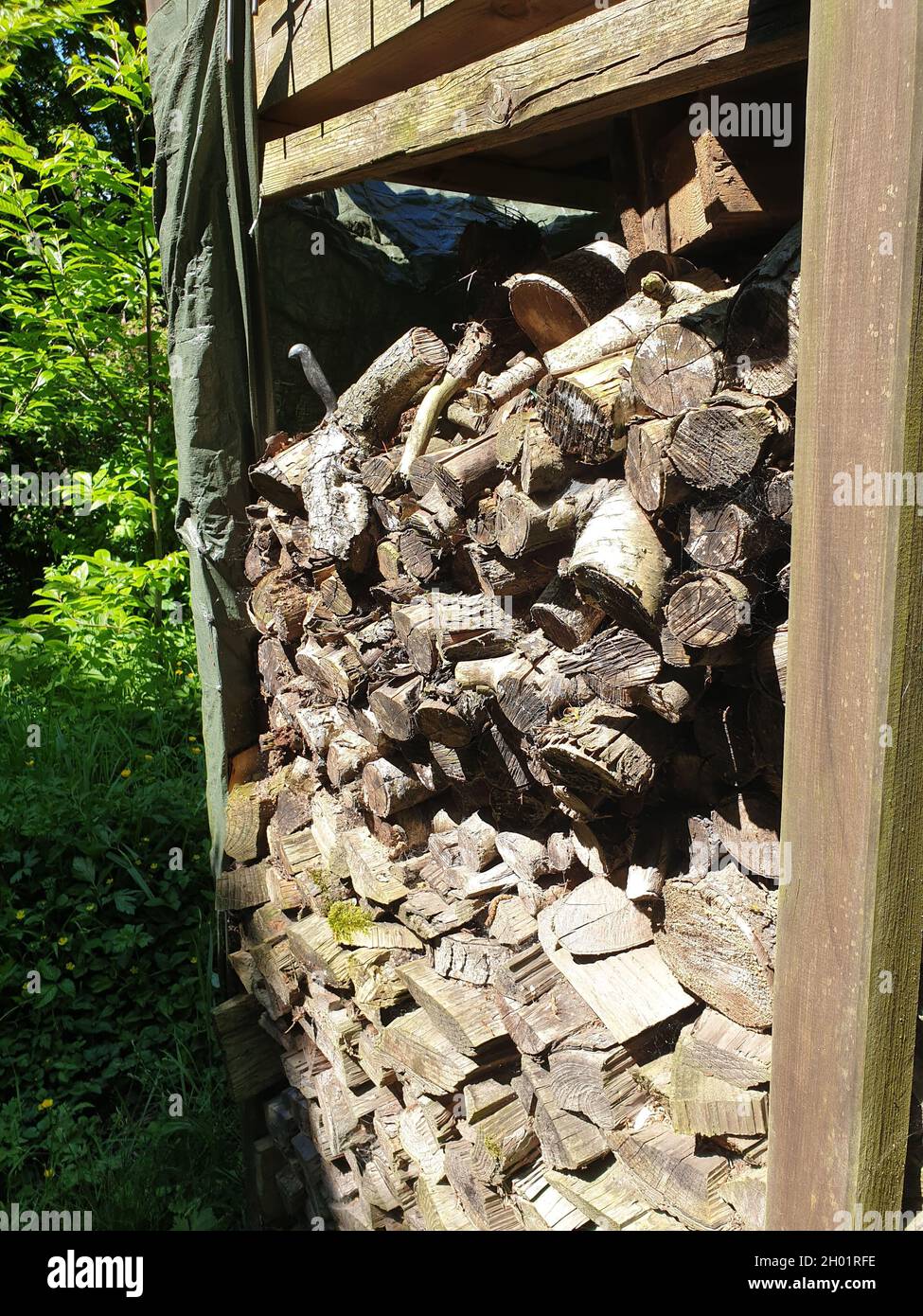 Holzscheite im Garten Foto Stock
