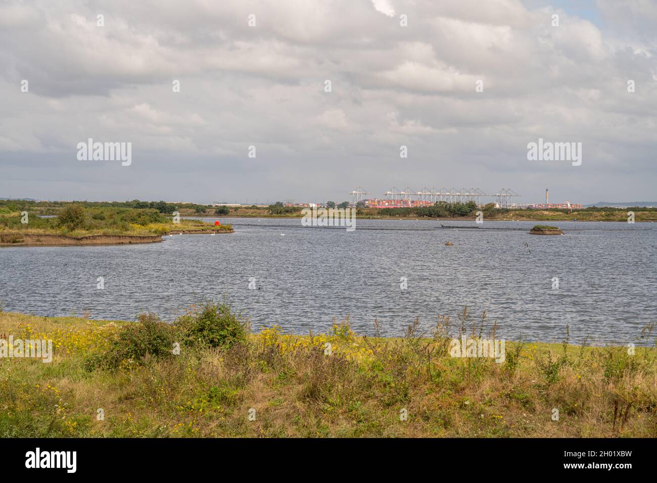 London Gateway container Port Essex da Cliffe Pools sulla riva sud del Tamigi nel Kent. Foto Stock