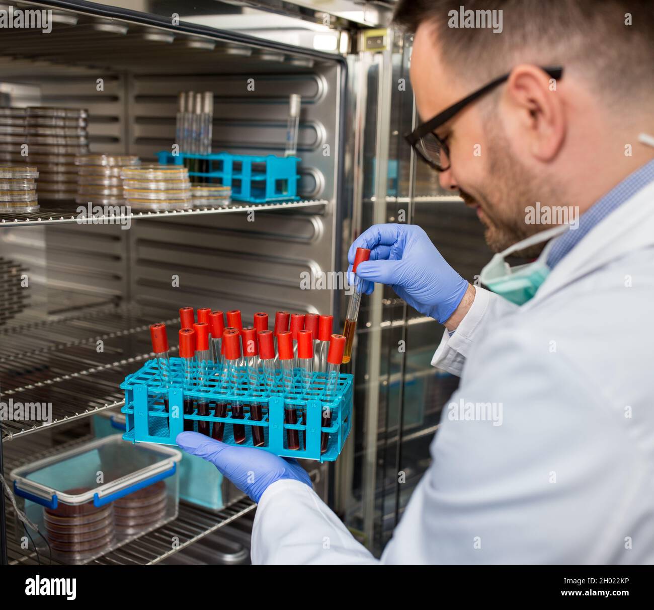 Biologo in camice bianco e con guanti protettivi per prelevare campioni da un moderno incubatore Foto Stock