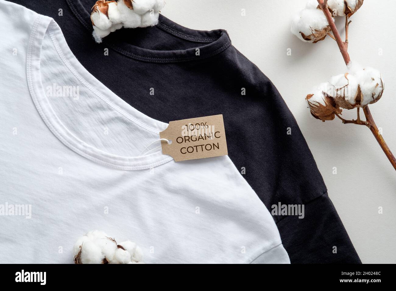 T-shirt in cotone naturale biologico e fiori di piante di cotone su tavola bianca. Abbigliamento ecologico, moda, concetto di stile di vita sostenibile Foto Stock