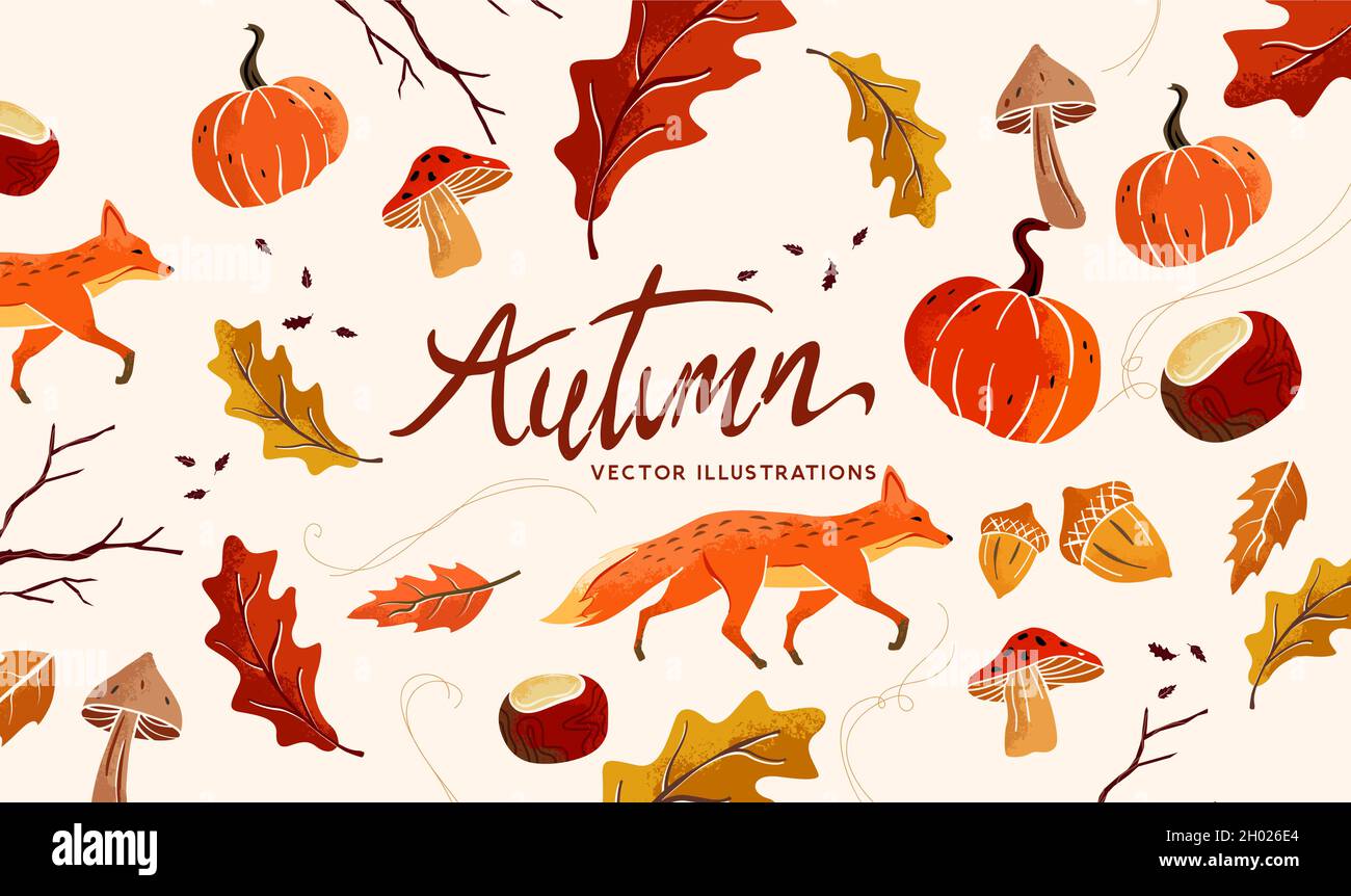 Collezione autunno e natura. Composizione stagionale autunnale con elementi autunnali artigianali, foglie, funghi, zucche e animali. Vettore illustratio Illustrazione Vettoriale