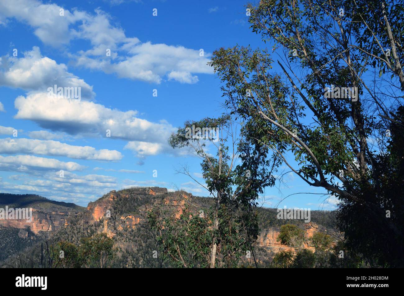 Una vista dalla passeggiata delle Cascate Vittoria nelle Blue Mountains dell'Australia Foto Stock