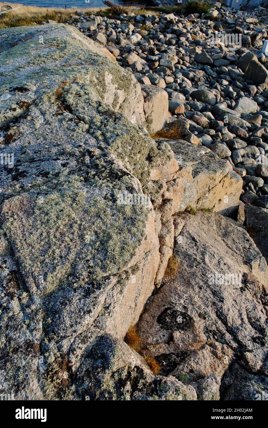 Sulle isole dell'arcipelago di Fjällbacka, sulla costa occidentale svedese Foto Stock