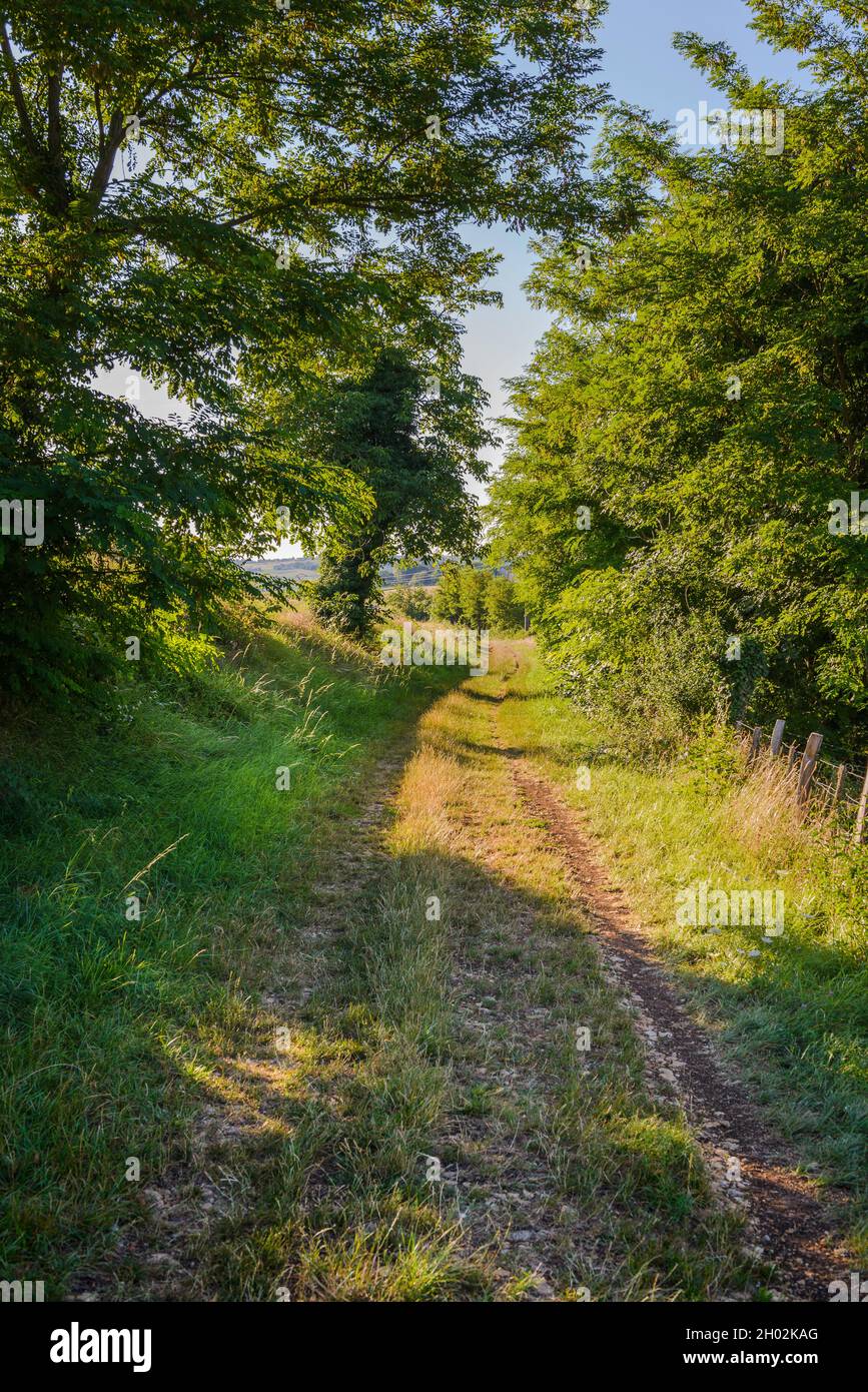 Sur le voie du Tacot à Jarnioux, Beaujolais, Francia Foto Stock