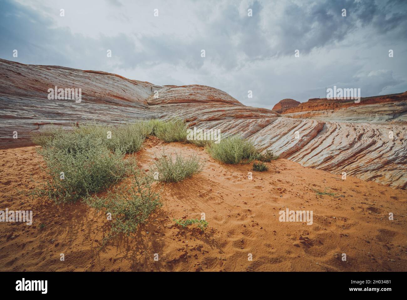 Formazione di arenaria ondulata rossa nell'area ricreativa nazionale di Glen Canyon. Spiaggia di sabbia con piante native, spettacolare sfondo cielo nuvoloso Foto Stock