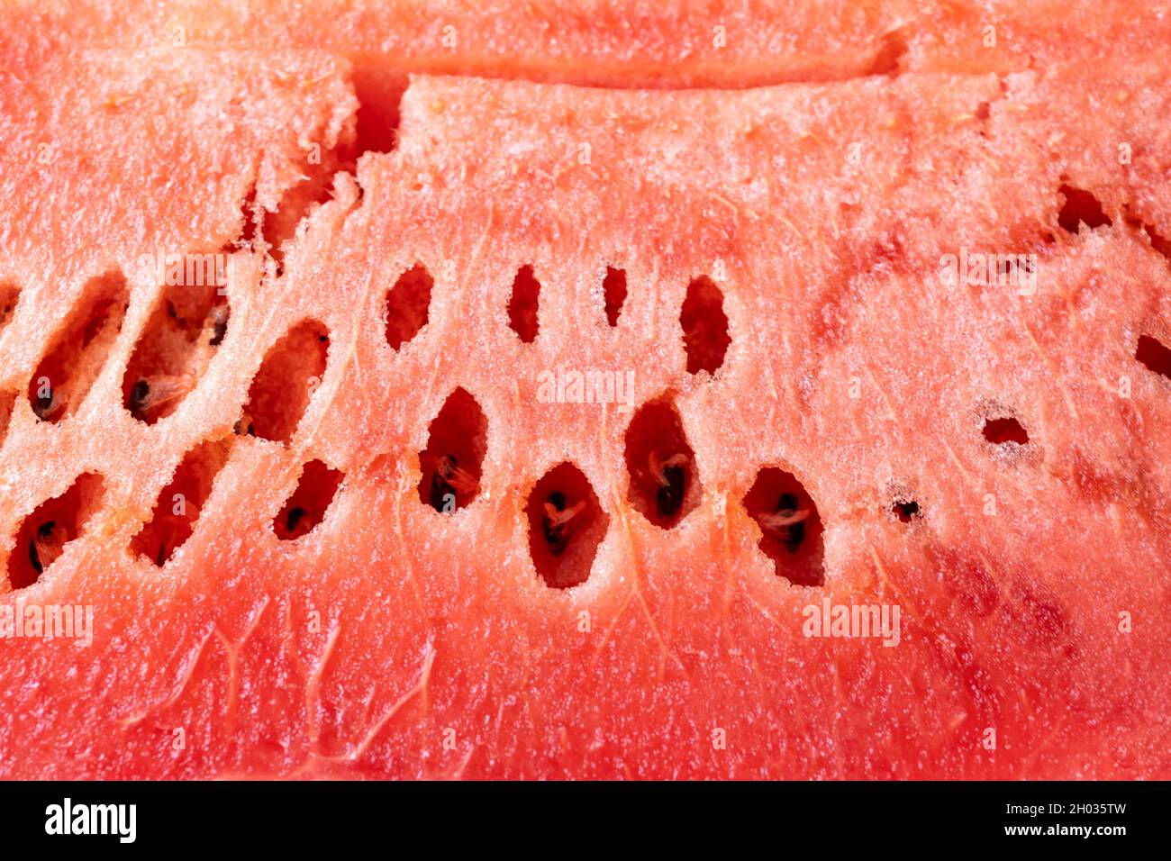 fondo fresco a fette di cocomero Foto Stock