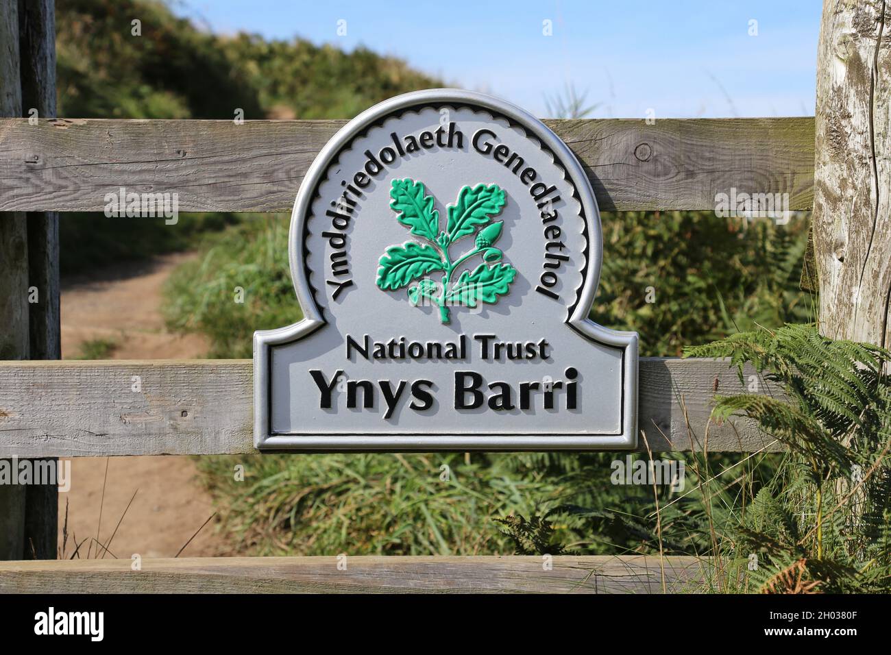 Ynys Barri, National Park Coast Path, Porthgain, Pembrokeshire, Galles, Regno Unito, Regno Unito, Europa Foto Stock