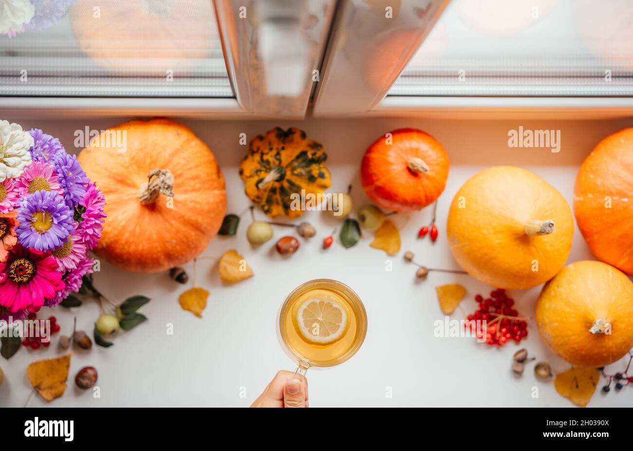 Composizione autunnale con una tazza di tè al limone, zucche, foglie gialle secche, bouquet di fiori autunnali, bacche di rosa guelder, ghiande e castagne su bac bianco Foto Stock