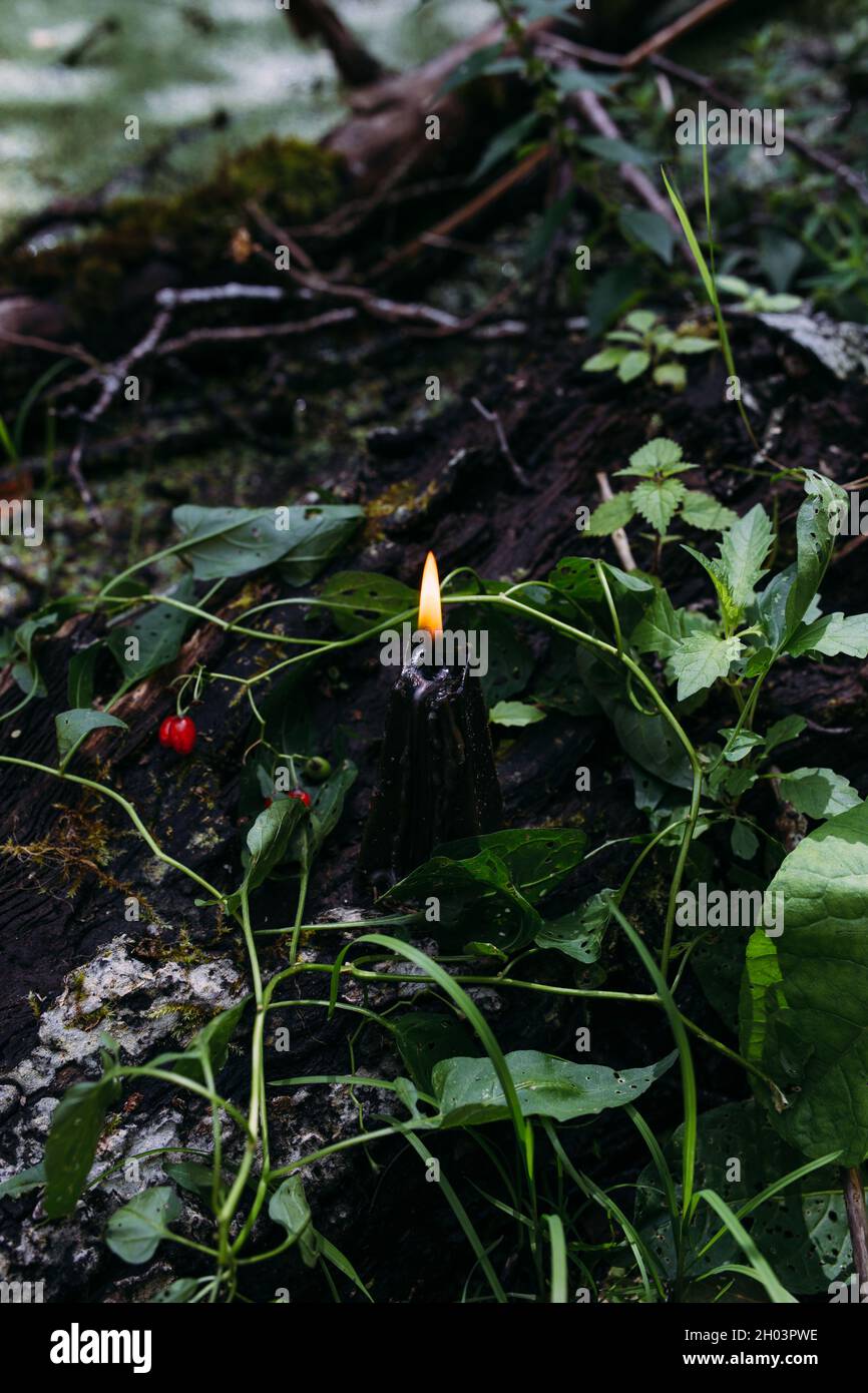 Concetto occulto, esoterico, divinazione e wicca. Halloween sfondo vintage Foto Stock