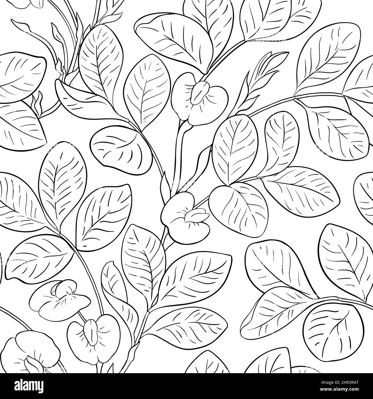 pattern vettoriale di arachidi su sfondo bianco Illustrazione Vettoriale