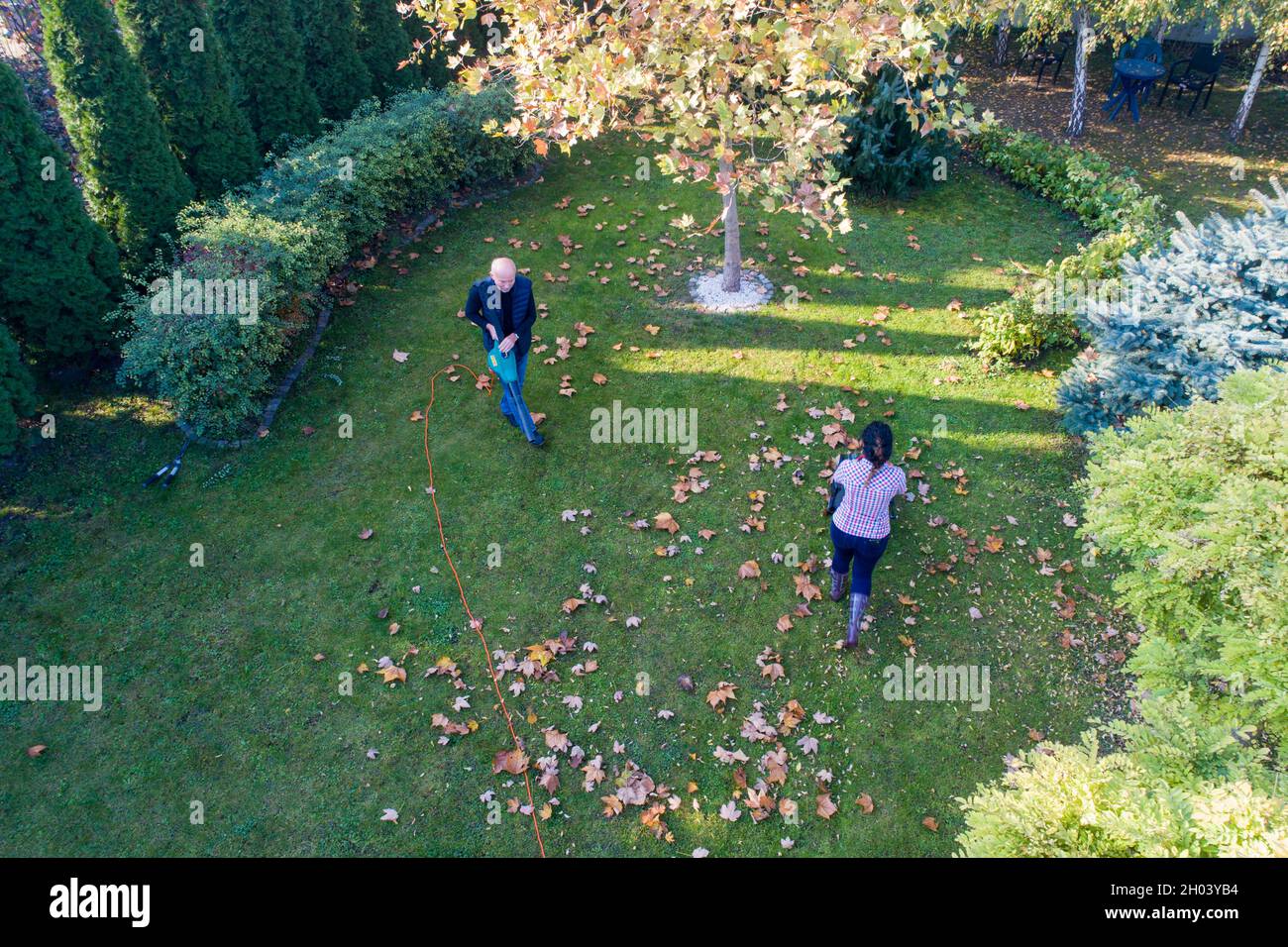 Immagine aerea di uomo e donna che si prende cura del giardino in autunno da foglia soffiare e tagliare l'erba, sparare dal drone Foto Stock