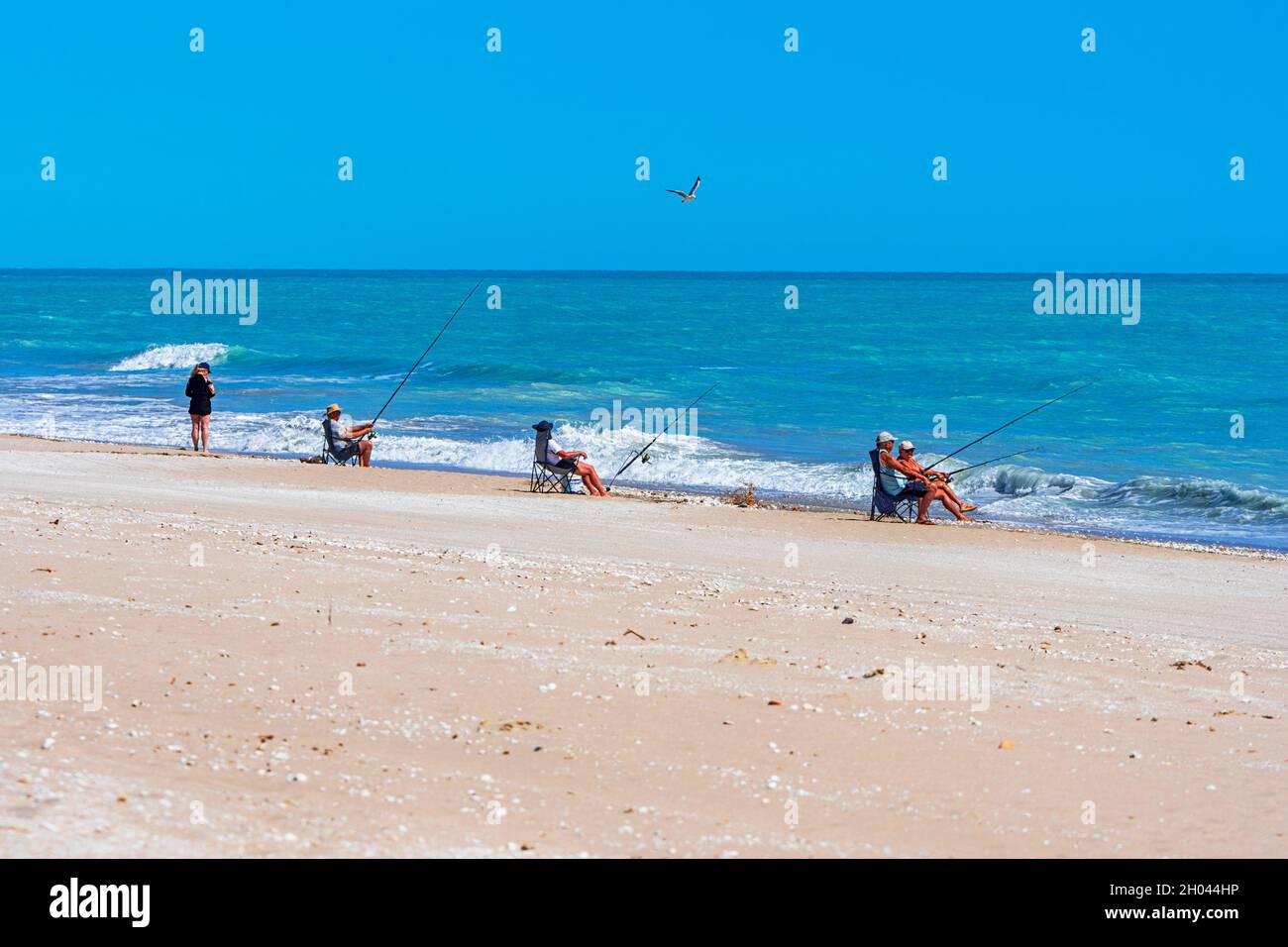 Pescatori di mare pesca da una sedia sulla spiaggia, ottanta Mile Beach, Australia occidentale, WA, Australia Foto Stock