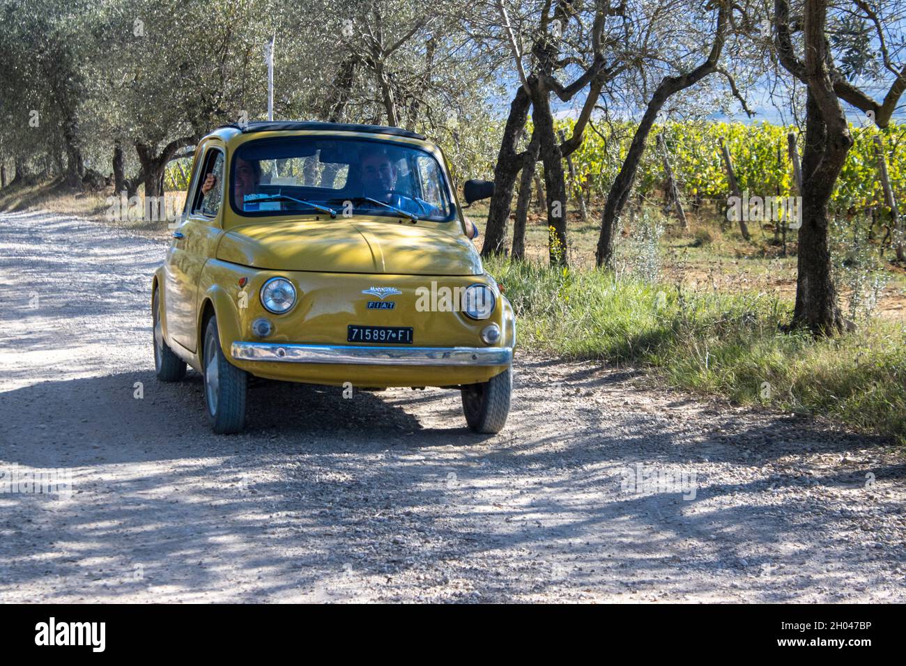 Una carina auto gialla cinquecento che percorre una strada polverosa negli oliveti italiani 7 Foto Stock
