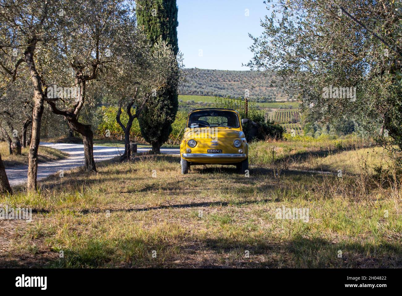 Una carina auto gialla cinquecento che percorre una strada polverosa negli oliveti italiani 6 Foto Stock