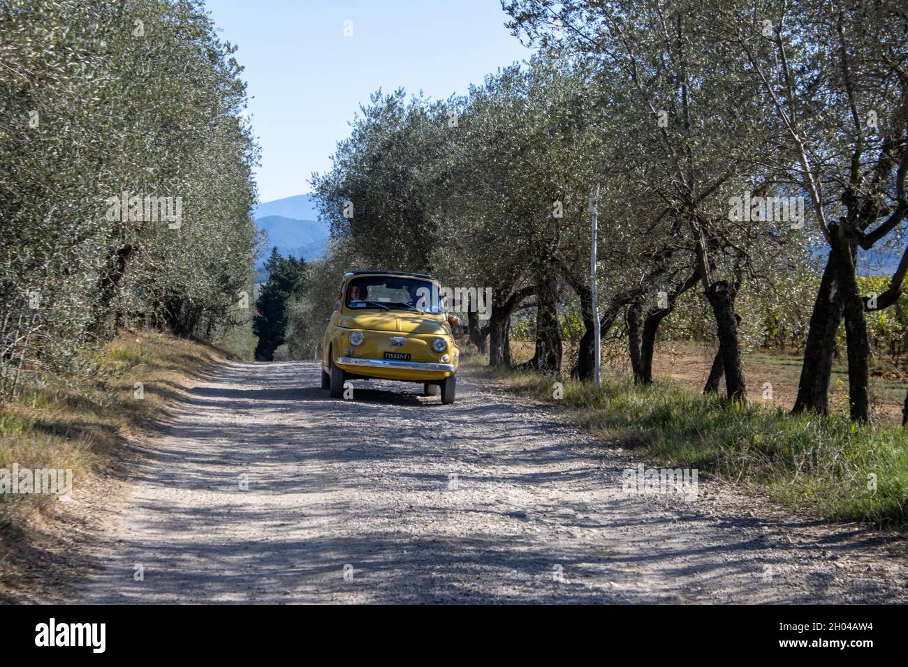 Una carina auto gialla cinquecento che percorre una strada polverosa negli oliveti italiani Foto Stock