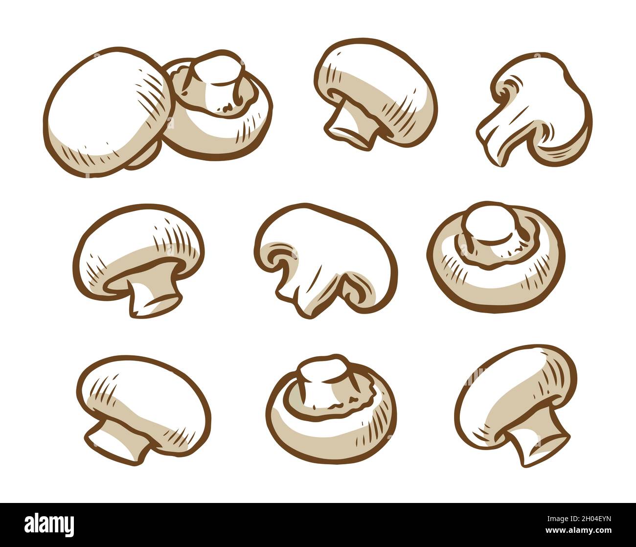 Set di champignons. Collezione icona champignon. Illustrazione del vettore dei funghi Illustrazione Vettoriale