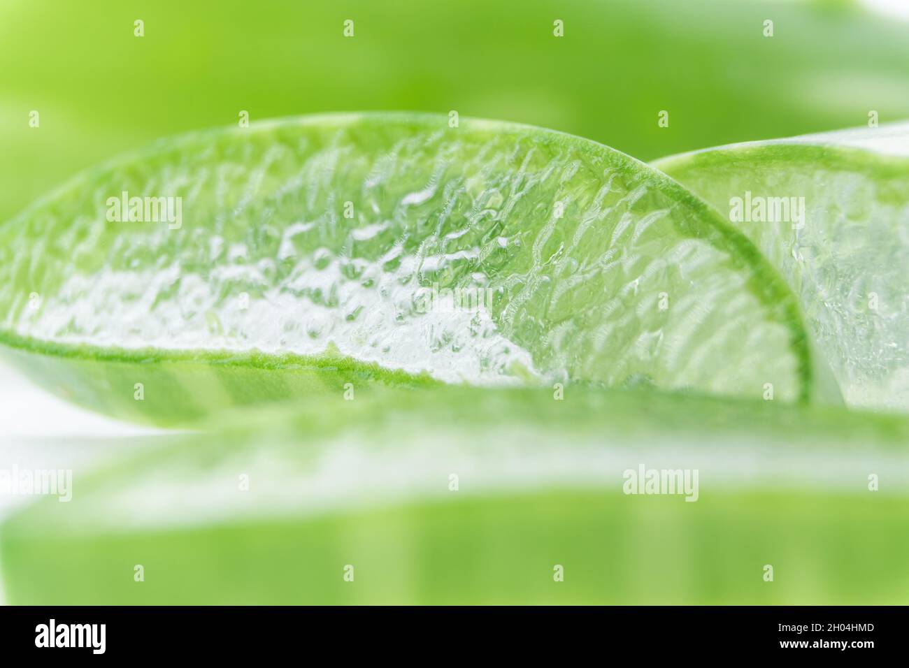 Foglia di aloe vera verde fresco e gel a fette isolate su fondo bianco. Pianta medica naturale, concetto di cura della pelle. Vista ravvicinata. Foto Stock