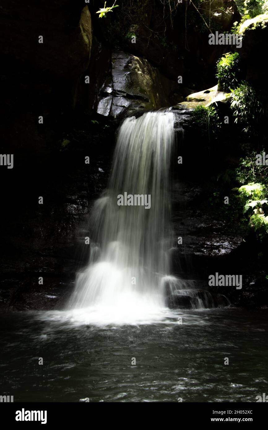 Una cascata nella foresta, presa nel Drakensberg, Sudafrica. Foto Stock