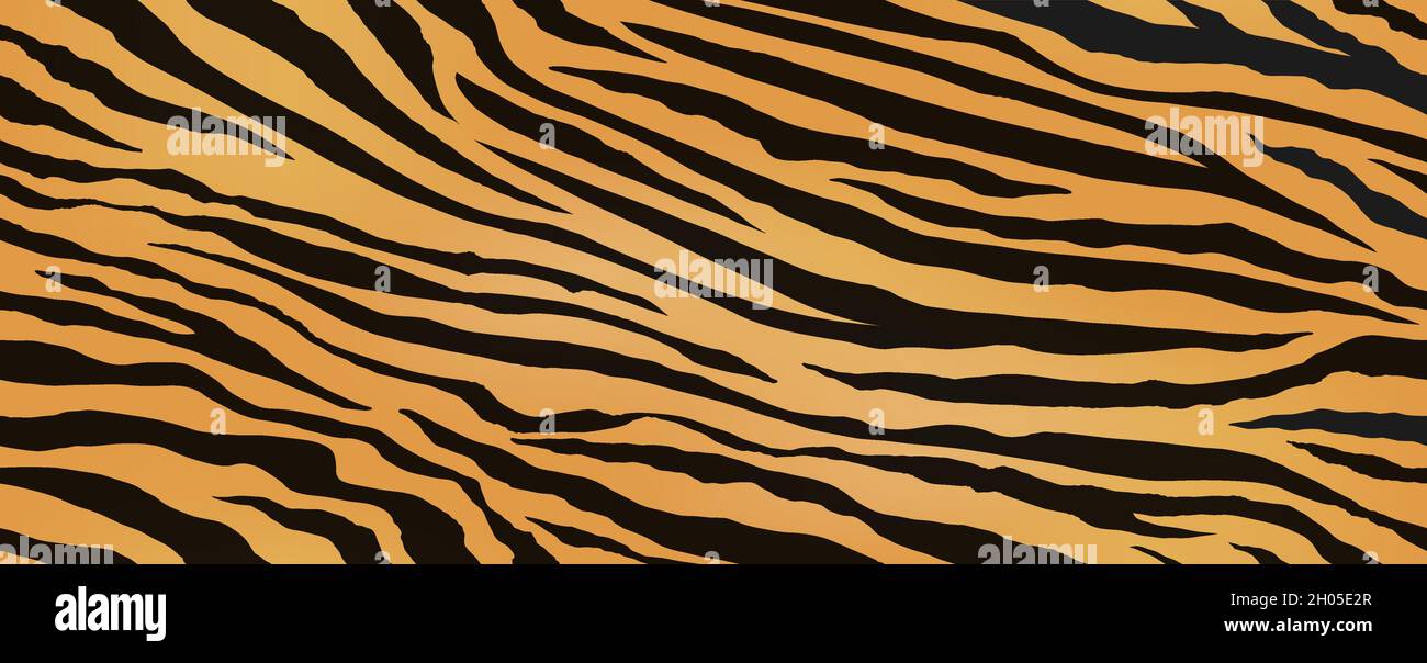 Illustrazione vettoriale trasparente della pelle Tiger ripetibile orizzontalmente e verticalmente. Modello di pelle di animali esotici con strisce nere. Illustrazione Vettoriale