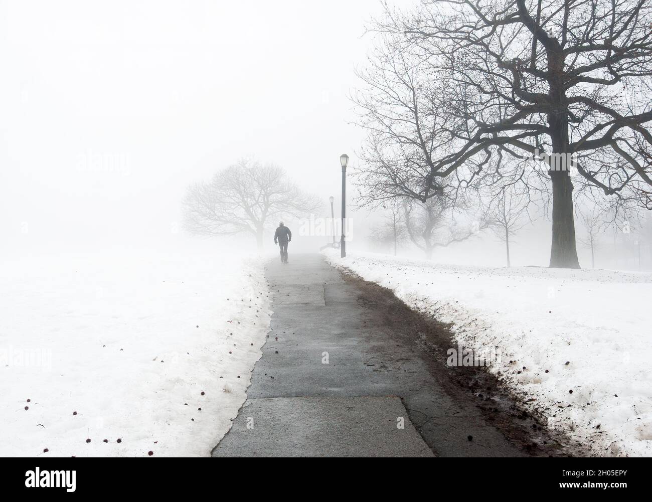 Passeggiata invernale Foto Stock