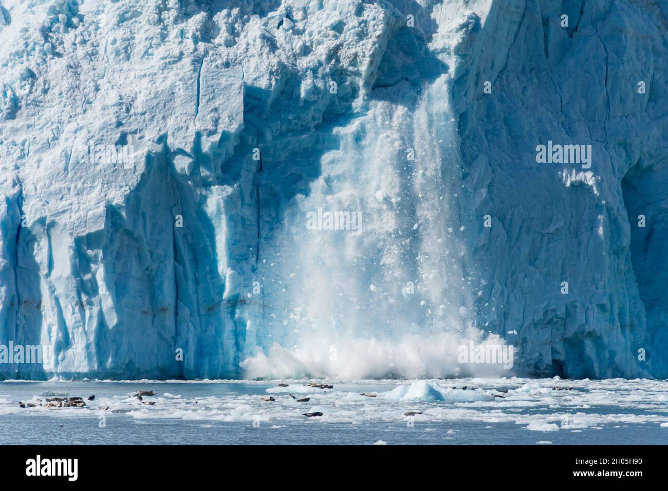 Un ghiacciaio attivo nel Golfo dell'Alaska Foto Stock