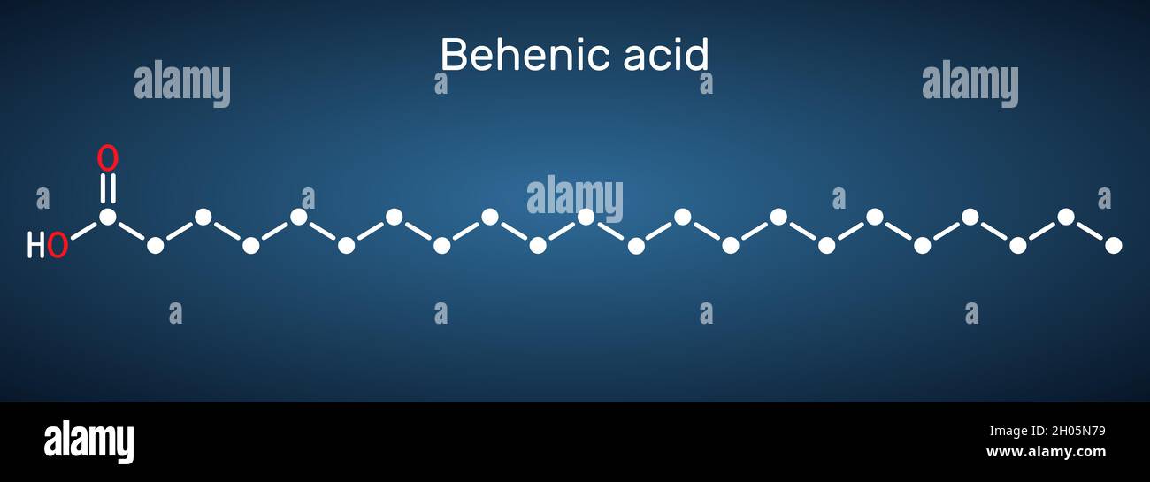 Acido behenico, molecola. È acido docosanoico, formula chimica scheletrica a catena lineare, a catena lunga saturata di acido grasso su sfondo blu scuro. Illustrazione Vettoriale