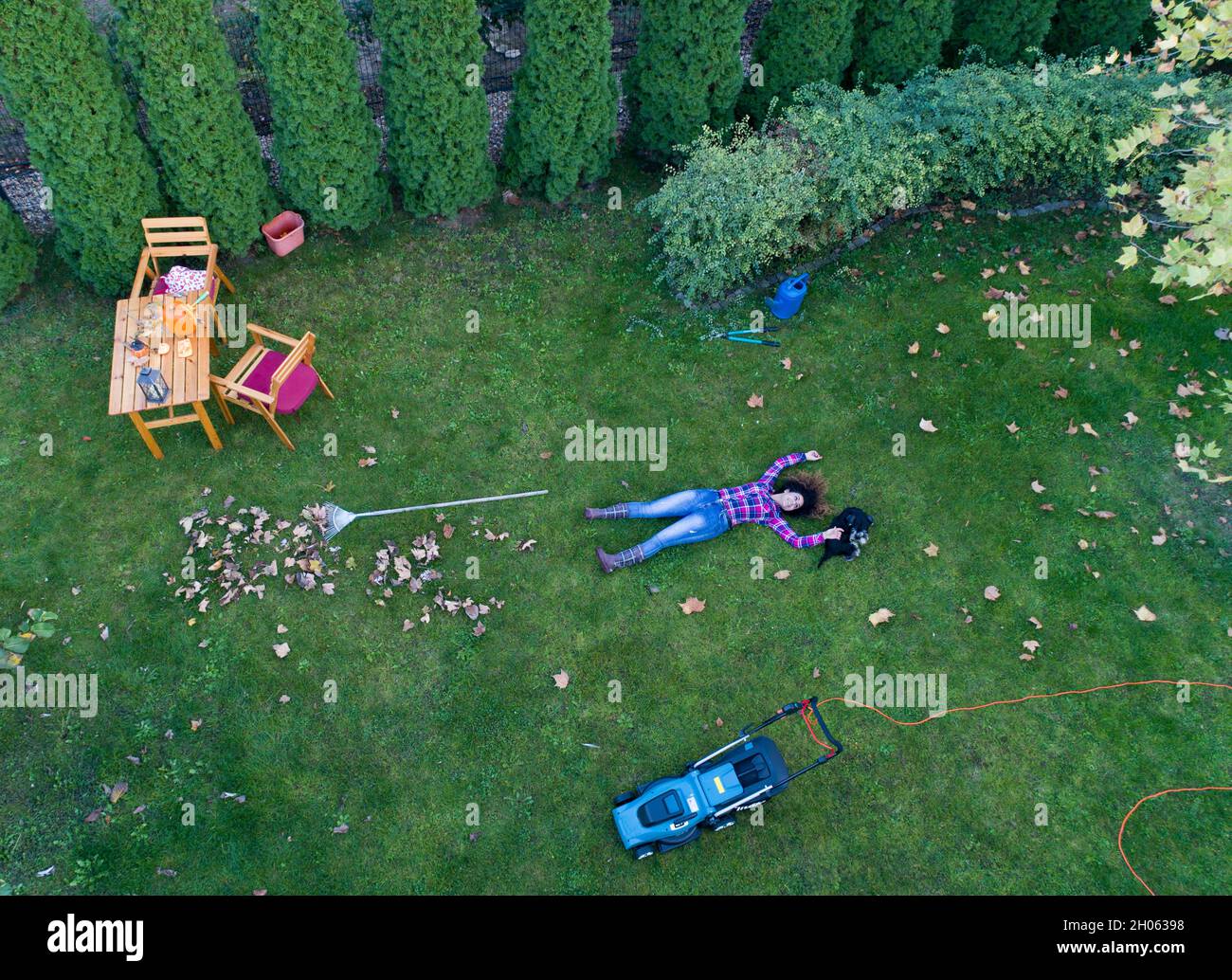 Immagine aerea della ragazza sdraiata sul prato fresco tagliato con il cane, godendo di erba verde dopo la falciatura. Spara dal drone Foto Stock
