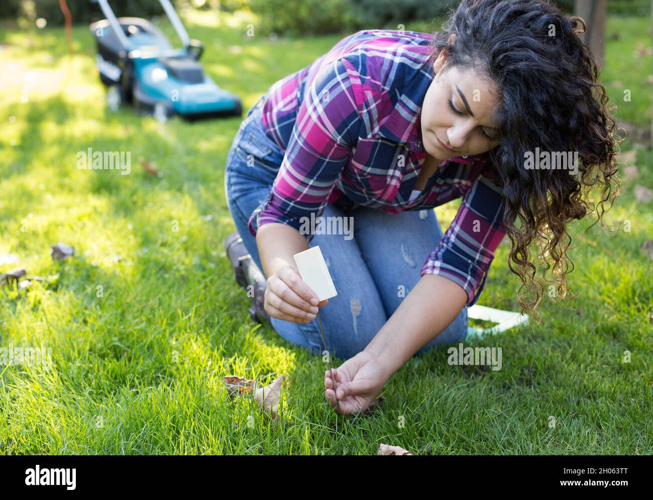 Giovane bella donna che misura l'altezza dell'erba per rifinire. Rasaerba in background Foto Stock