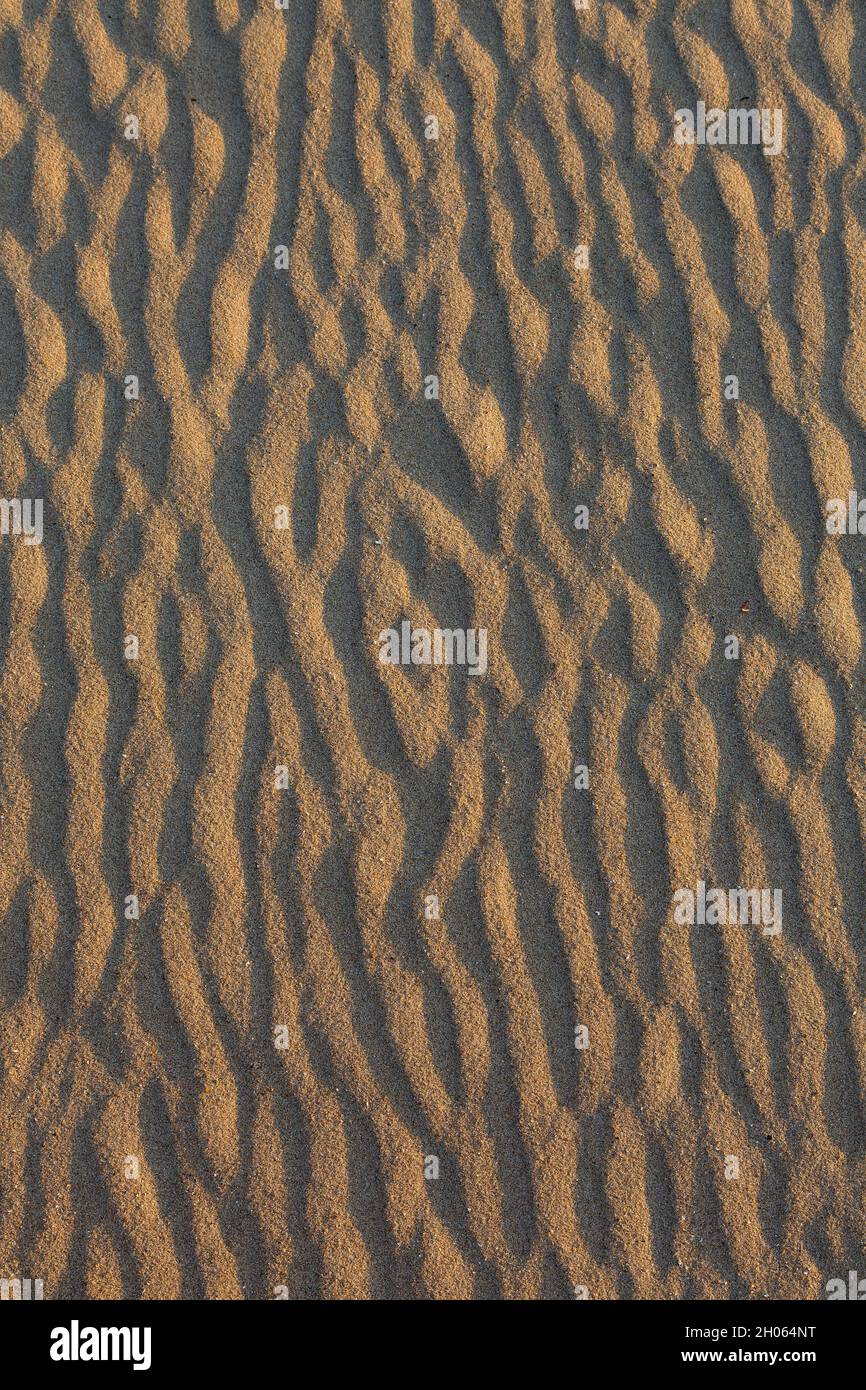 Disegno astratto di sabbia, ondeggia di sabbia su fango piano / spiaggia a bassa marea, Parco Nazionale del Mare di Wadden, Schleswig-Holstein, Germania Foto Stock