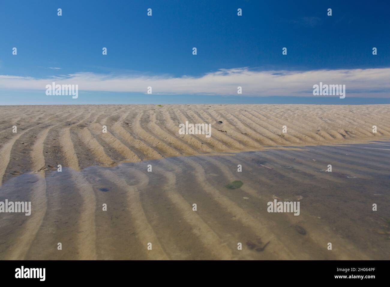 La sabbia si increspa su fango piano / spiaggia a bassa marea, Wadden Sea National Park, Schleswig-Holstein, Germania Foto Stock