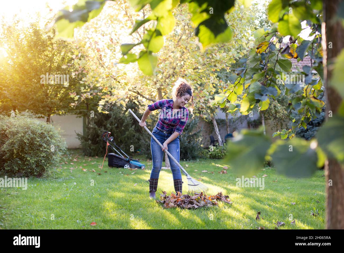 Bella giovane donna che rastrellava foglie in giardino con rasaerba in background Foto Stock