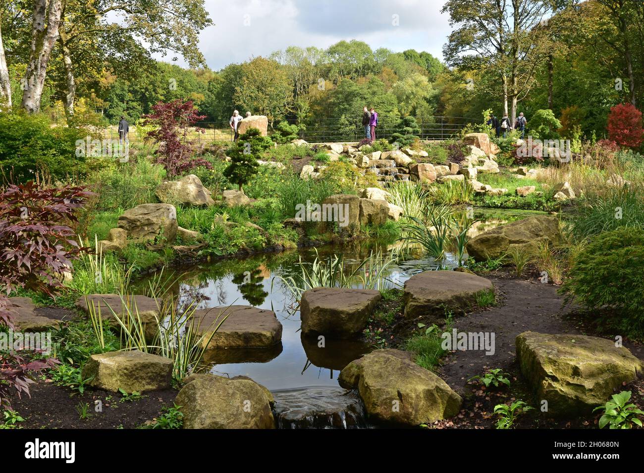 Il giardino cinese del ruscello, RHS Bridgewater, Salford, Manchester Foto Stock