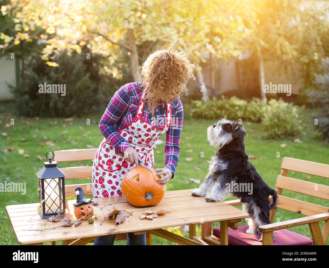 Bella giovane donna taglio zucca per Halloween in giardino, mentre il cane che fa la sua azienda Foto Stock