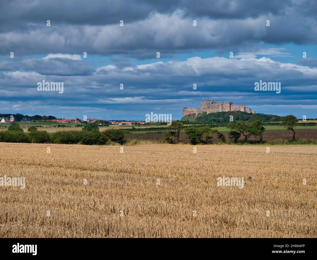 Attraverso i campi al momento del raccolto, l'imponente Castello di Bambburgh domina la vista da un affioramento doleritico a Northumberland, Regno Unito Foto Stock