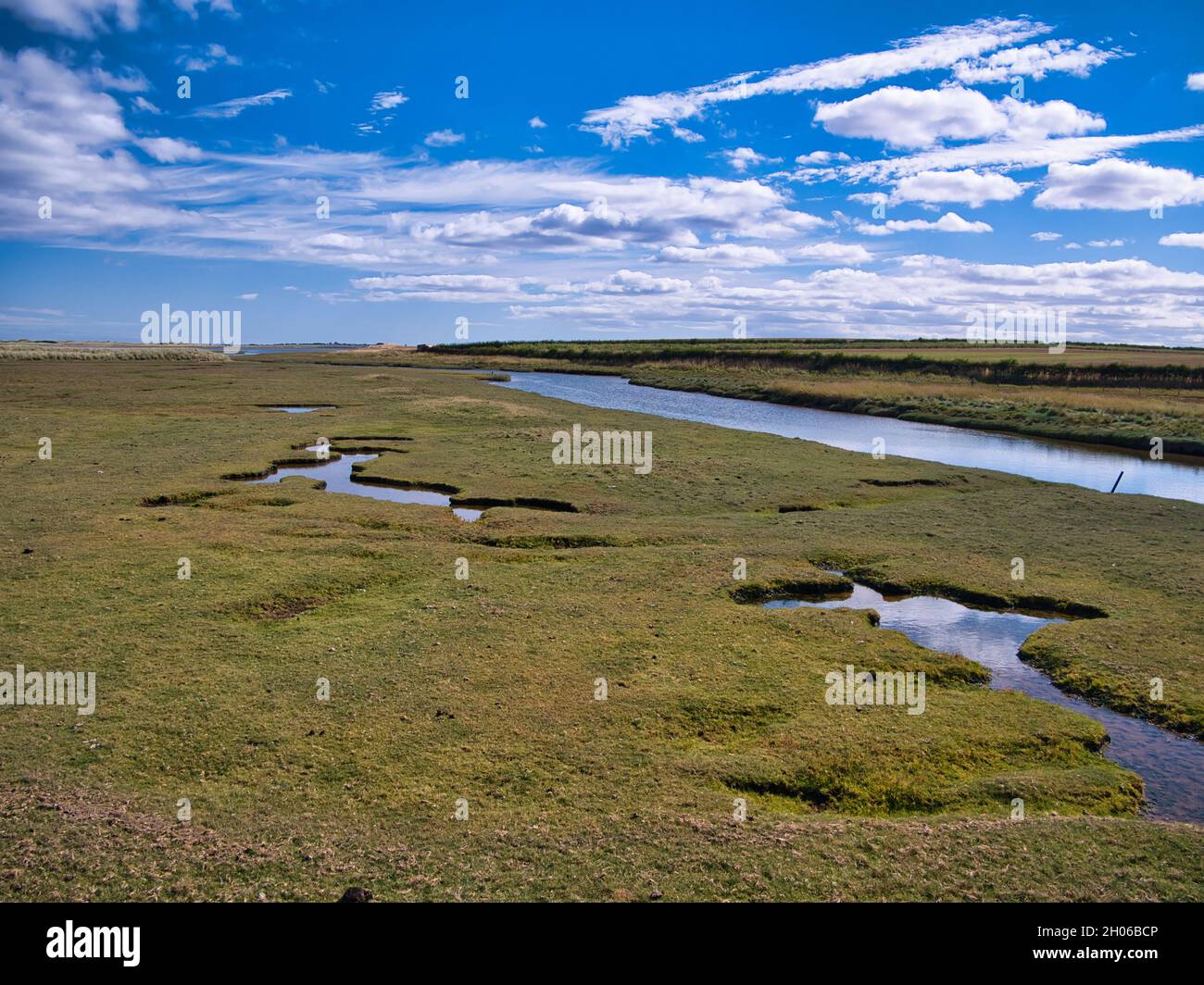 Zone umide costiere nel Northumberland, Inghilterra, Regno Unito. In estate, si è tenuta una giornata di sole con il cielo blu e le nuvole bianche. Foto Stock