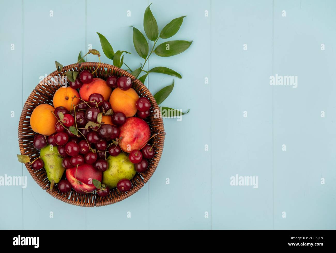 vista dall'alto di frutta come ciliegia pesca albicocca pera in cestino con foglie su sfondo blu con spazio copia Foto Stock