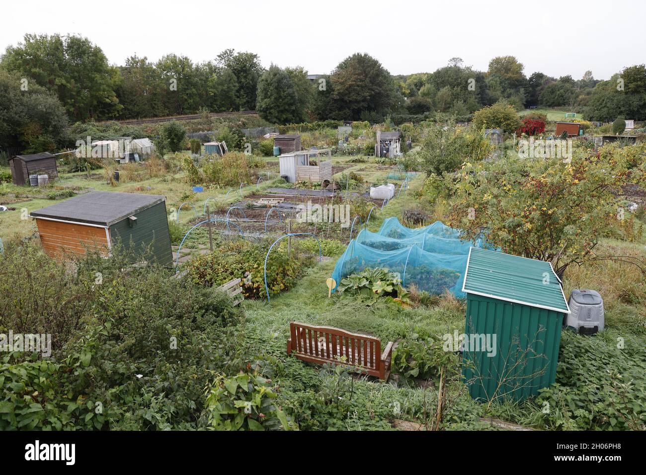 Quote produttive con verdure di fine stagione a fine autunno accanto alla linea ferroviaria di Warwick UK Foto Stock