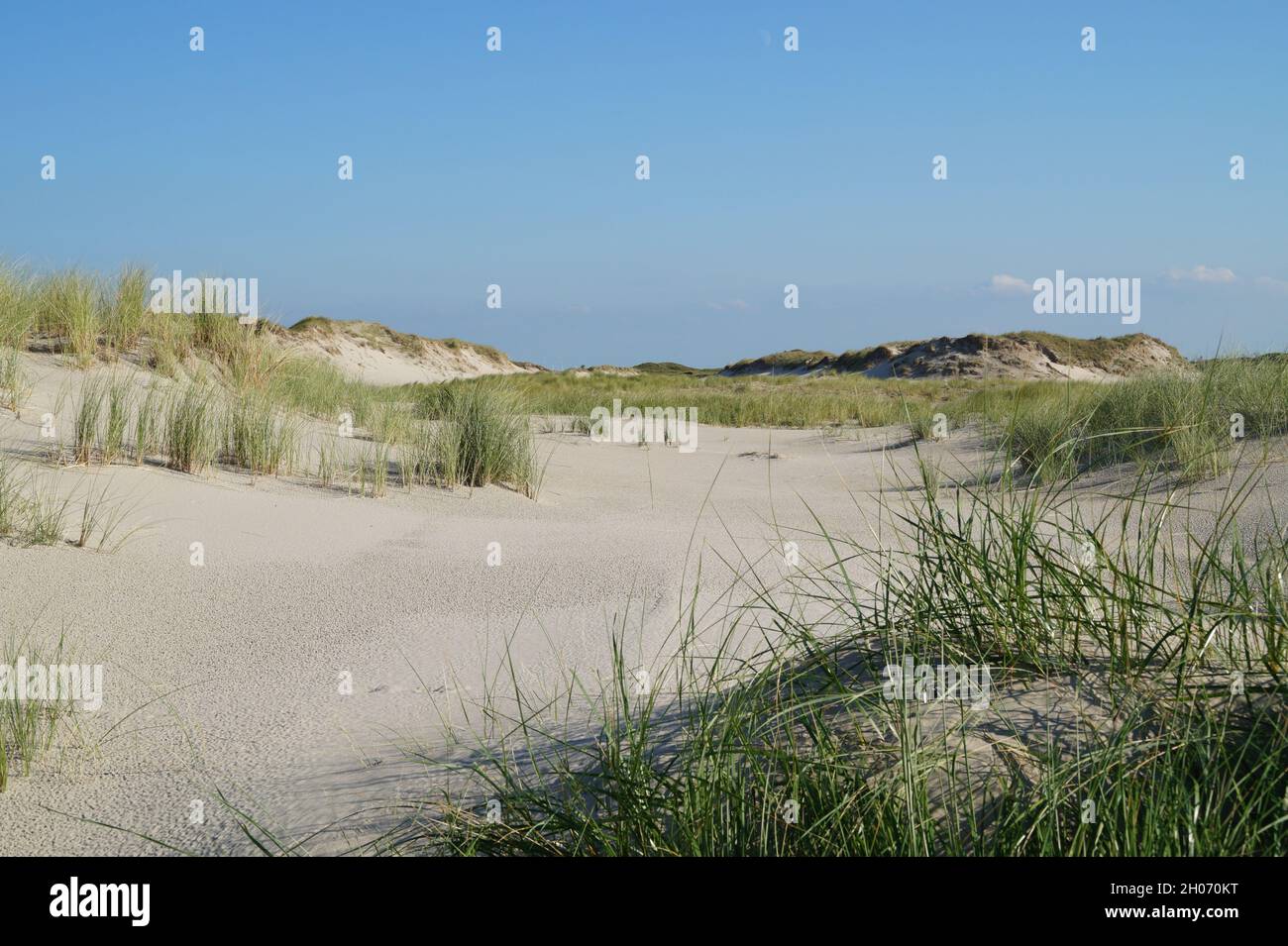Dune di sabbia bianca panoramiche dell'isola di Baltrum nel Mare del Nord in Germania Foto Stock