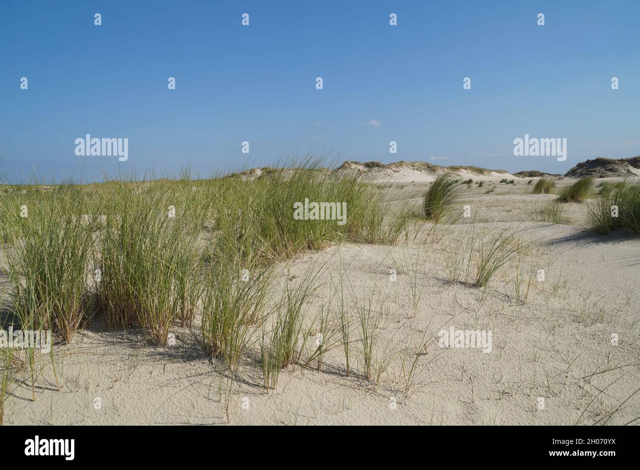 Dune di sabbia bianca panoramiche dell'isola di Baltrum nel Mare del Nord in Germania Foto Stock