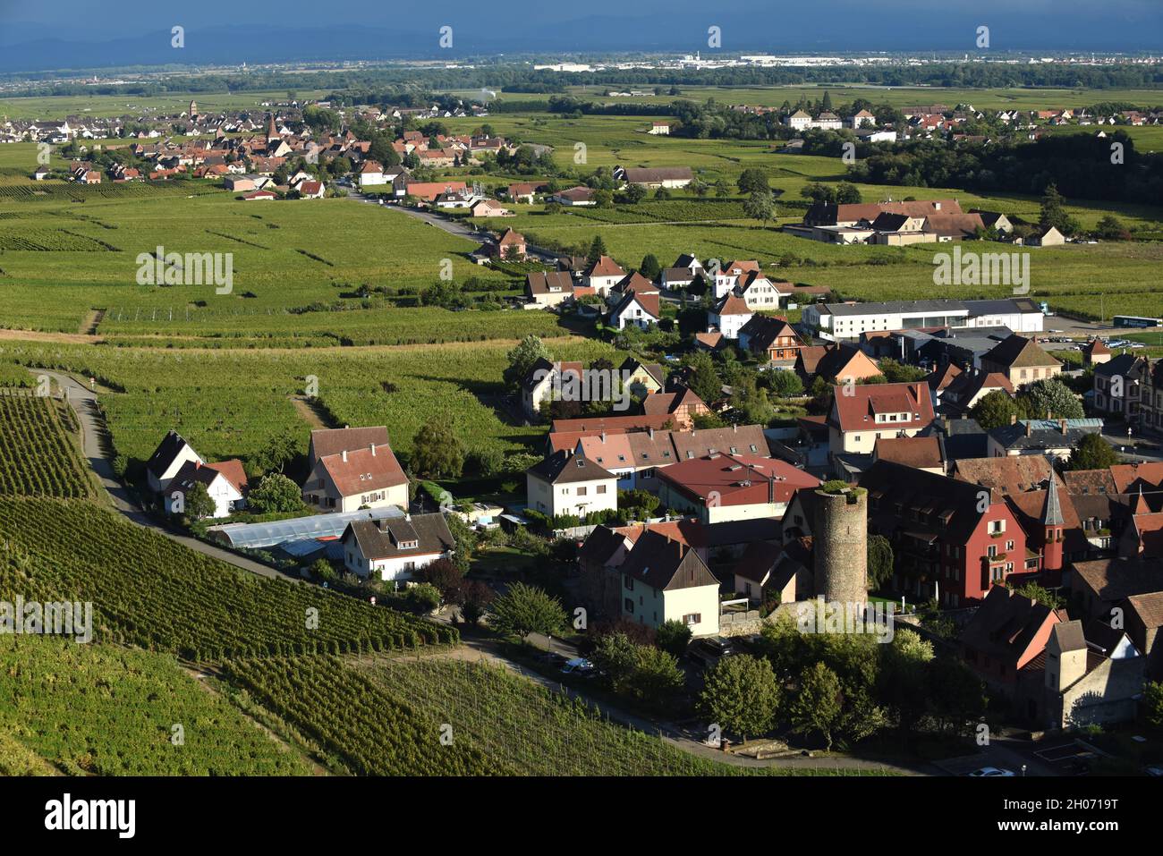 Il paesaggio alsaziano da Kaysersberg guardando verso Sigolsheim Foto Stock