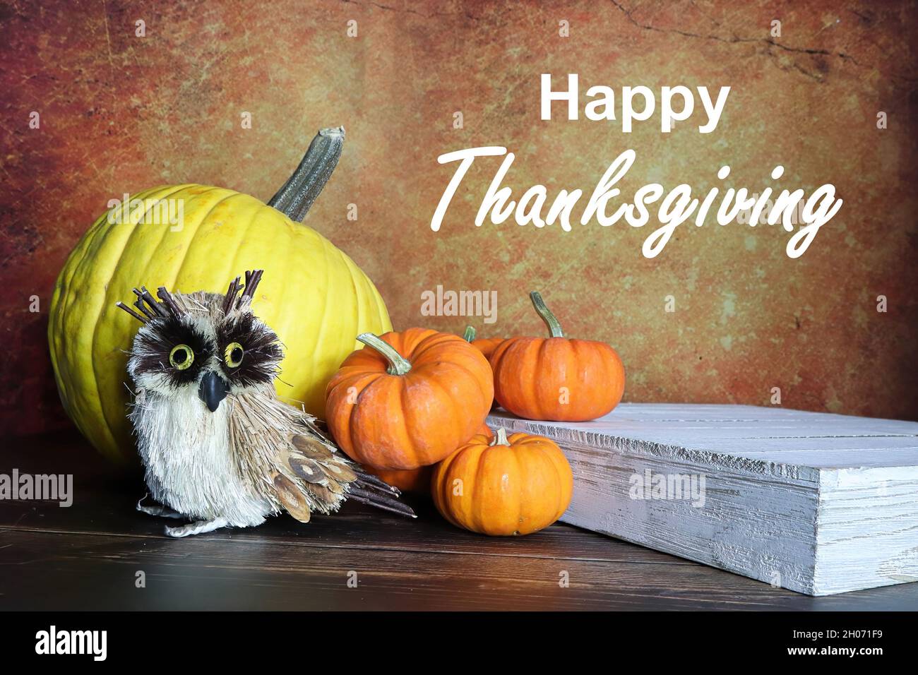 Un felice sfondo di Thanksgiving con zucche e un gufo Foto Stock