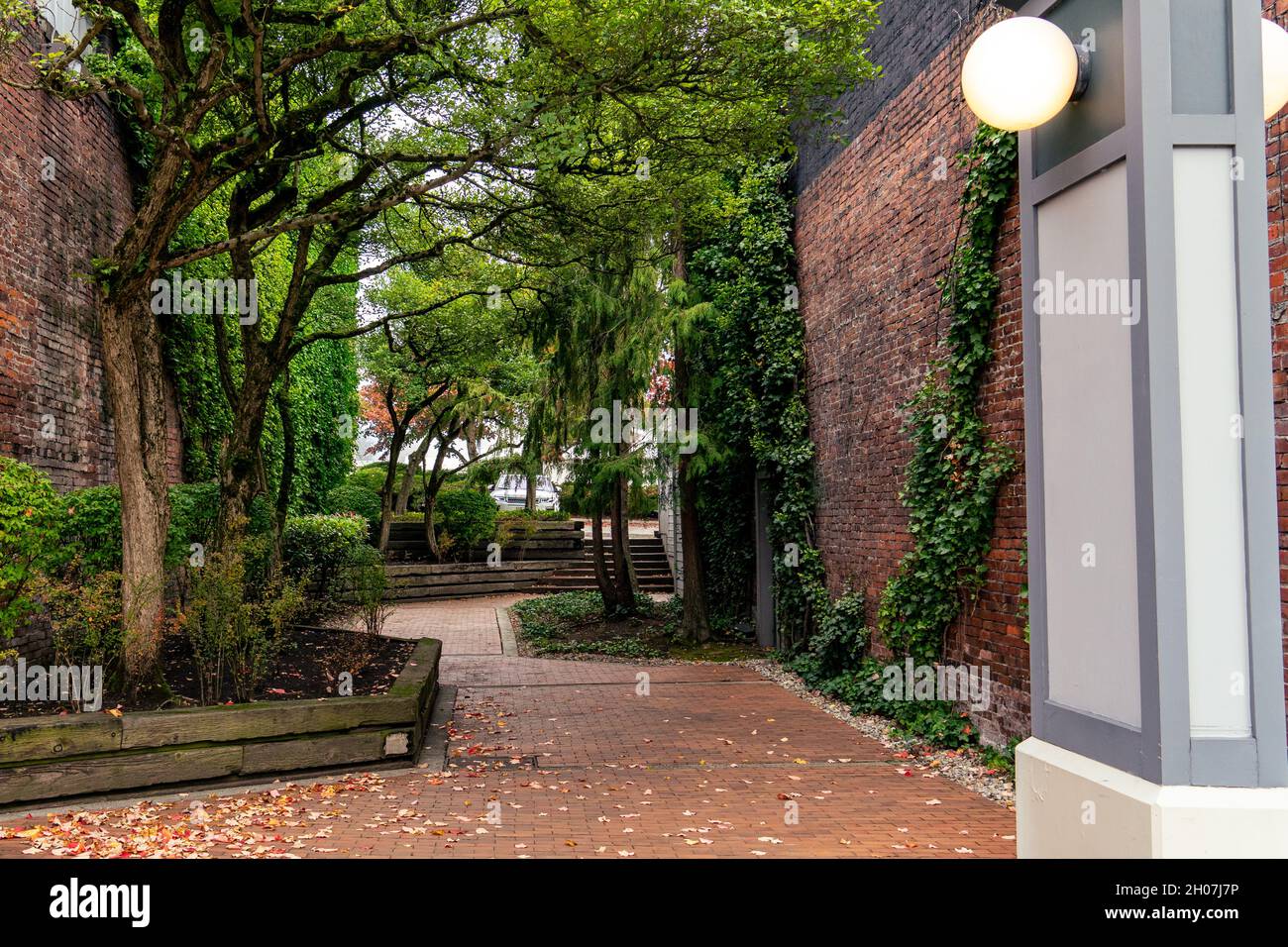 Caduta foglie sul cortile a piedi tra due edifici in mattoni Foto Stock