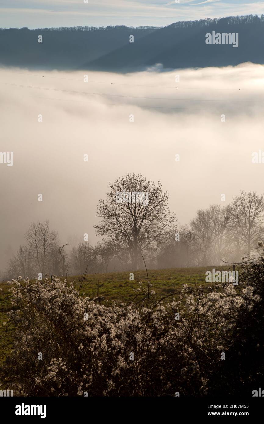 Bellissimo paesaggio invernale panoramico con una valle piena di nebbia Foto Stock