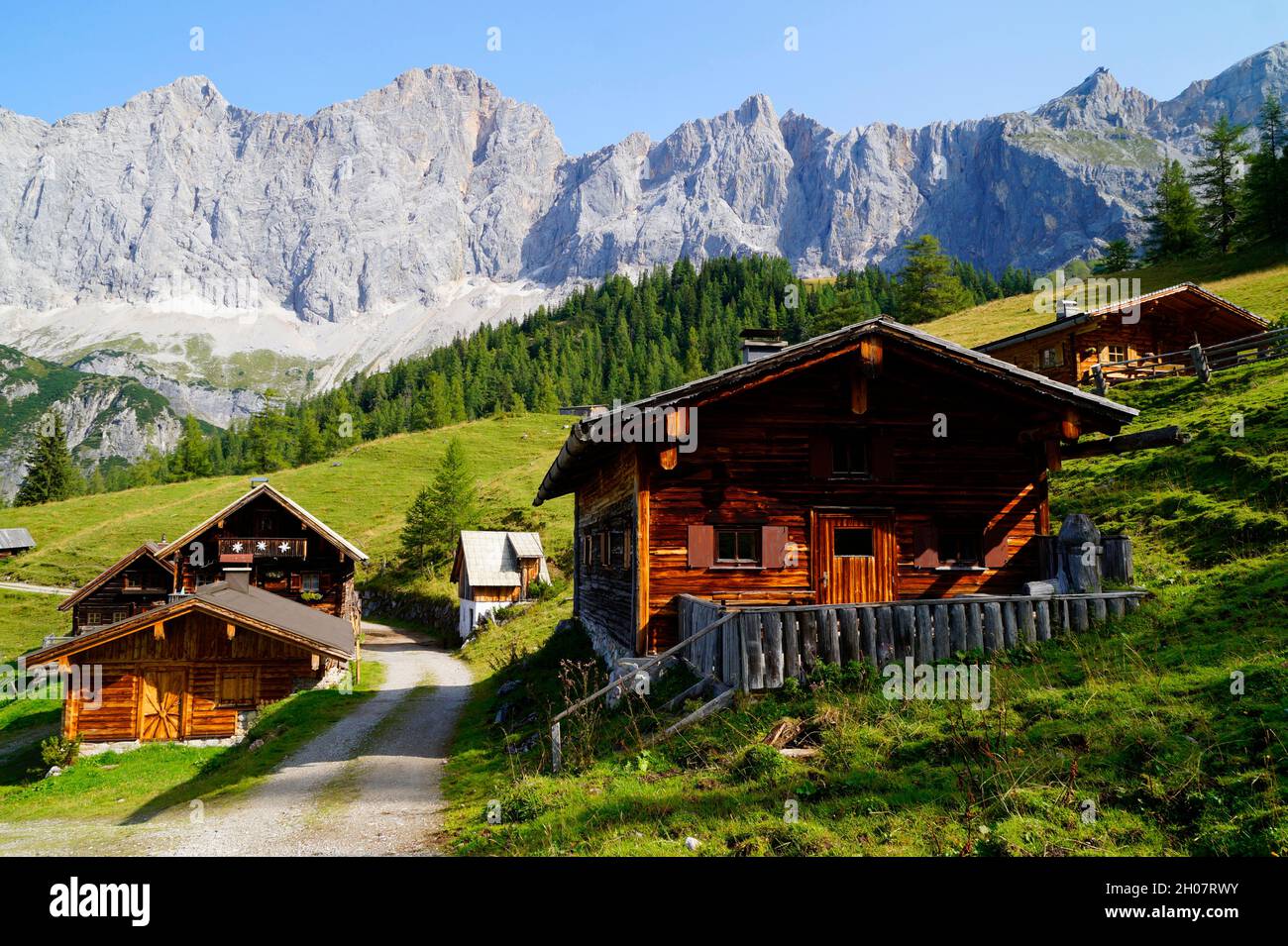 Alm Neustatt nelle Alpi austriache della regione di Dachstein (Stiria in Austria) Foto Stock