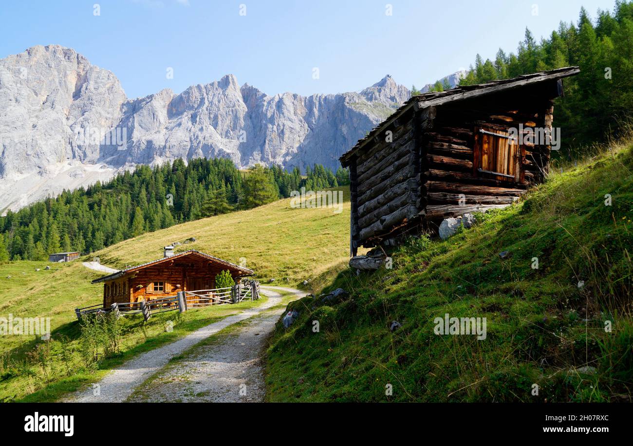 Alm Neustatt nelle Alpi austriache della regione di Dachstein (Stiria in Austria) Foto Stock