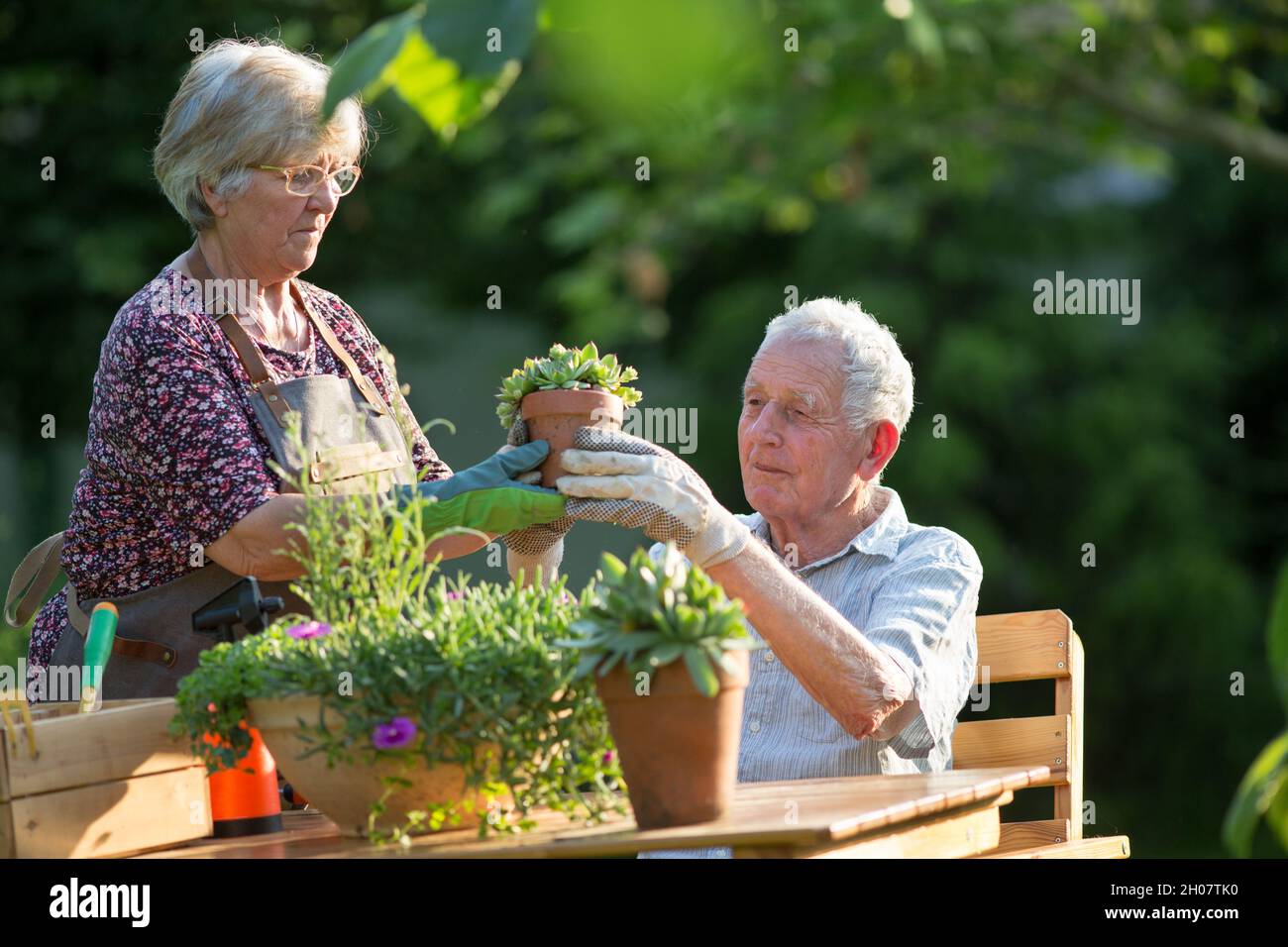 Senior coppia di piantine in giardino in primavera Foto Stock
