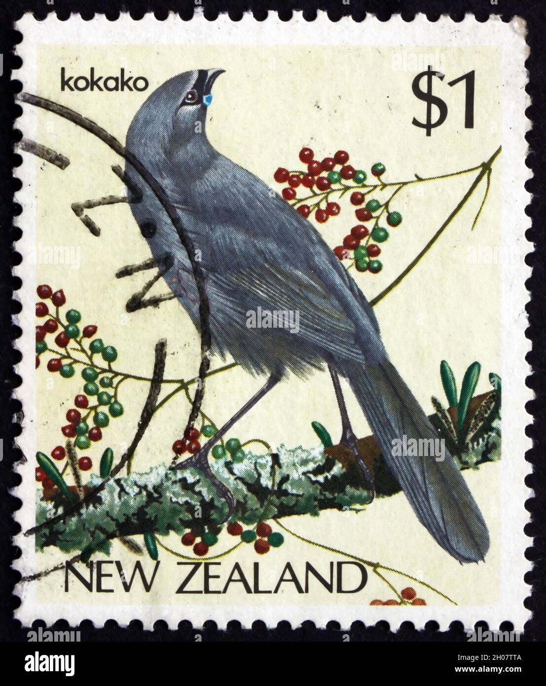 NUOVA ZELANDA - CIRCA 1985: Un francobollo stampato in Nuova Zelanda mostra Kokako, Callaeas wilsoni, Wattlebird, circa 1985 Foto Stock