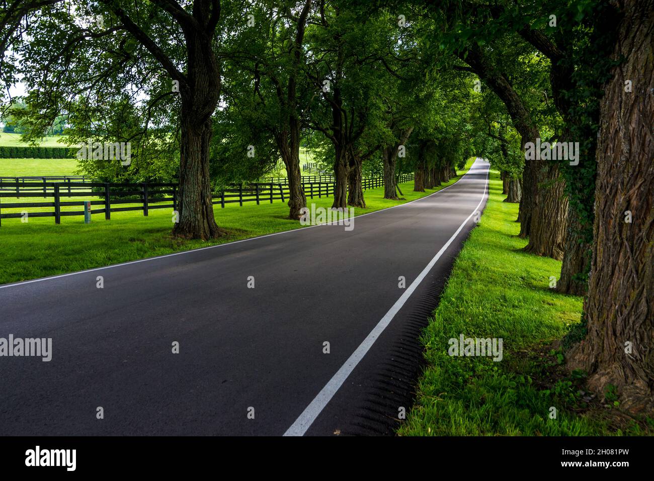 Kentucky Bluegrass Horse Country - Old Frankfort Pike Foto Stock