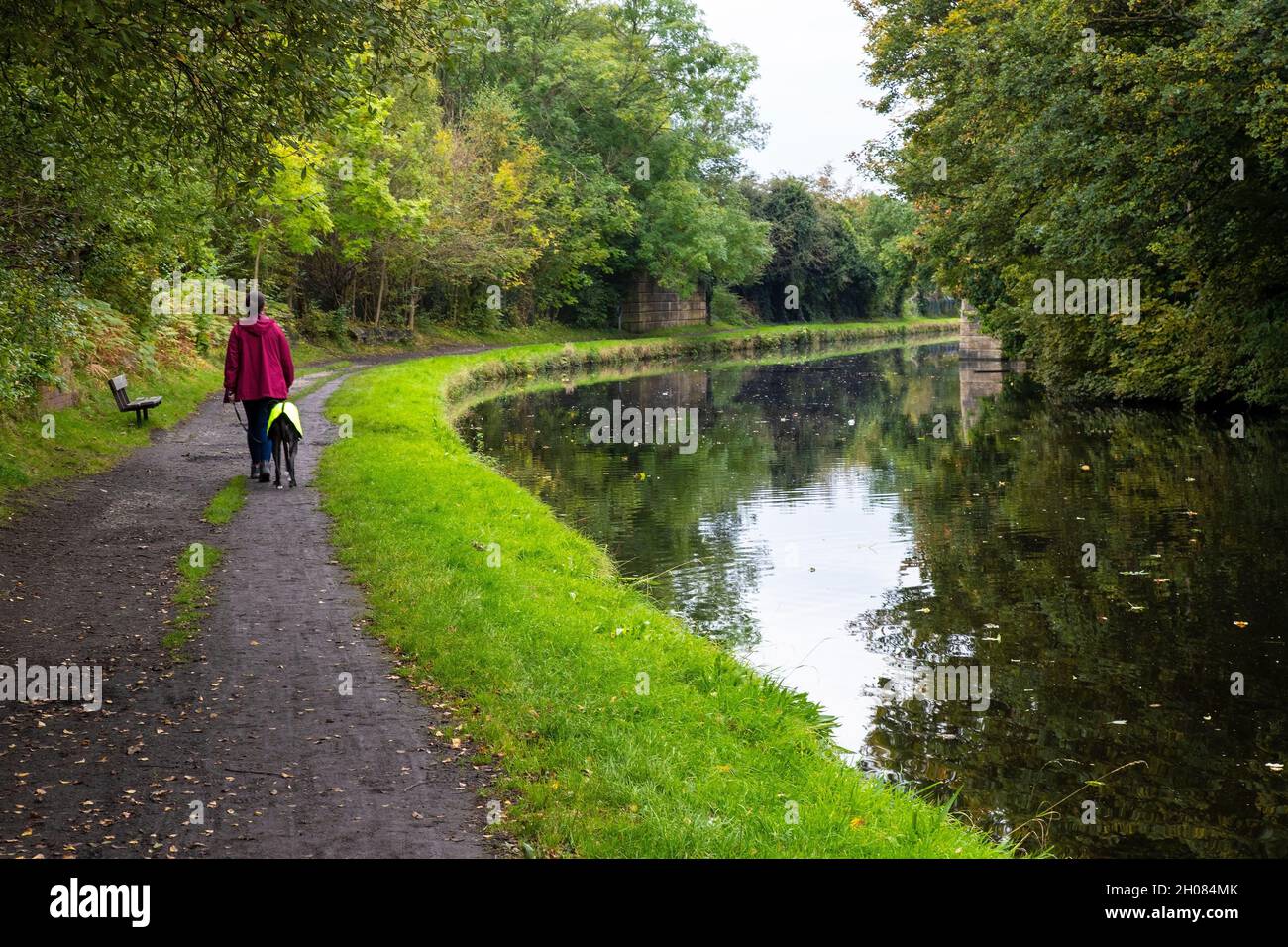 Lady a piedi il suo cane lungo il alzaia del canale di navigazione Calder & Hebble in autunno, come le foglie iniziano a cadere a Mirfield, Yorkshire Foto Stock